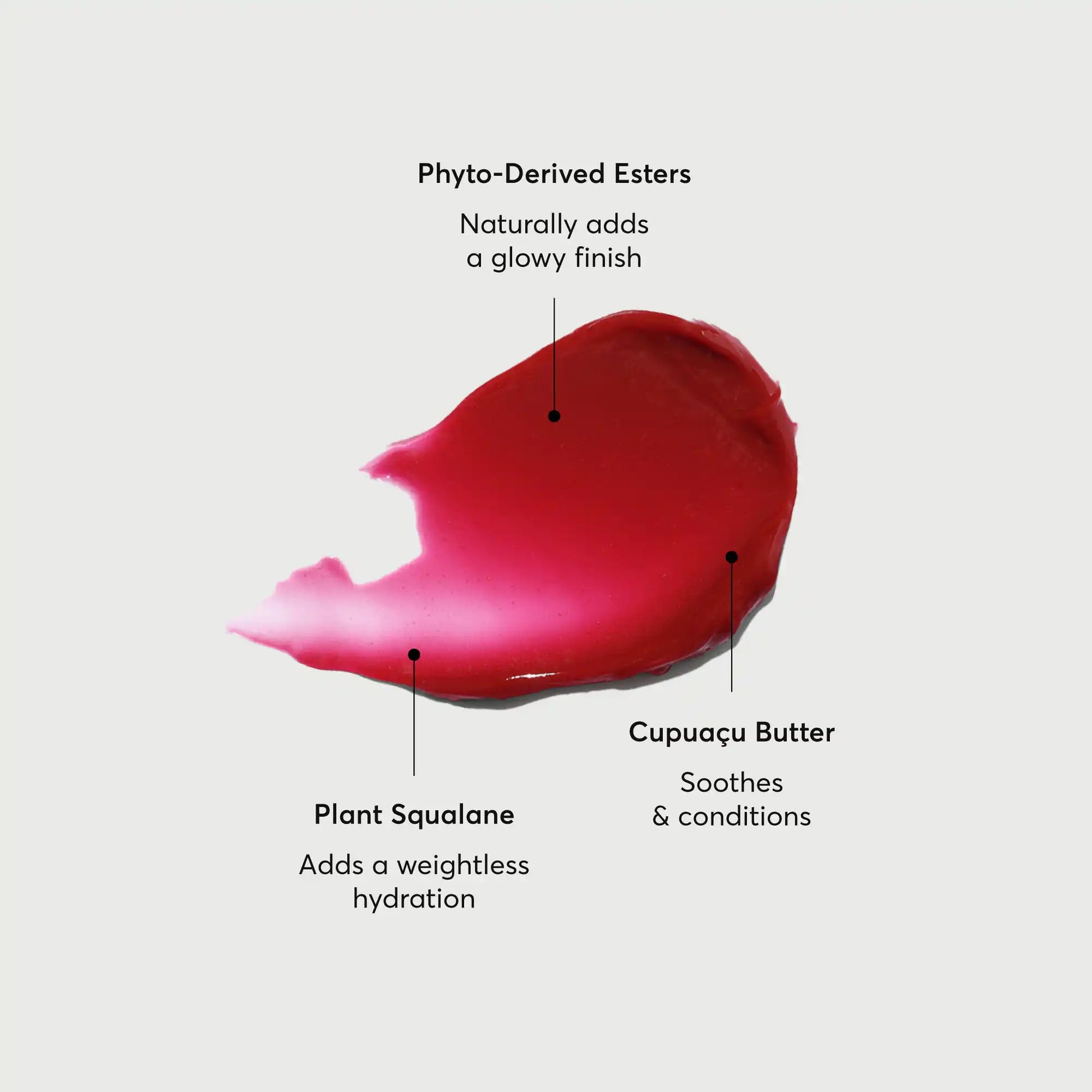 phyto-glow-lip-balm-lychee-e4 NATR-60072-Alt-Images-Phyto-Glow-Lip-Balm-Lychee-01.webp
