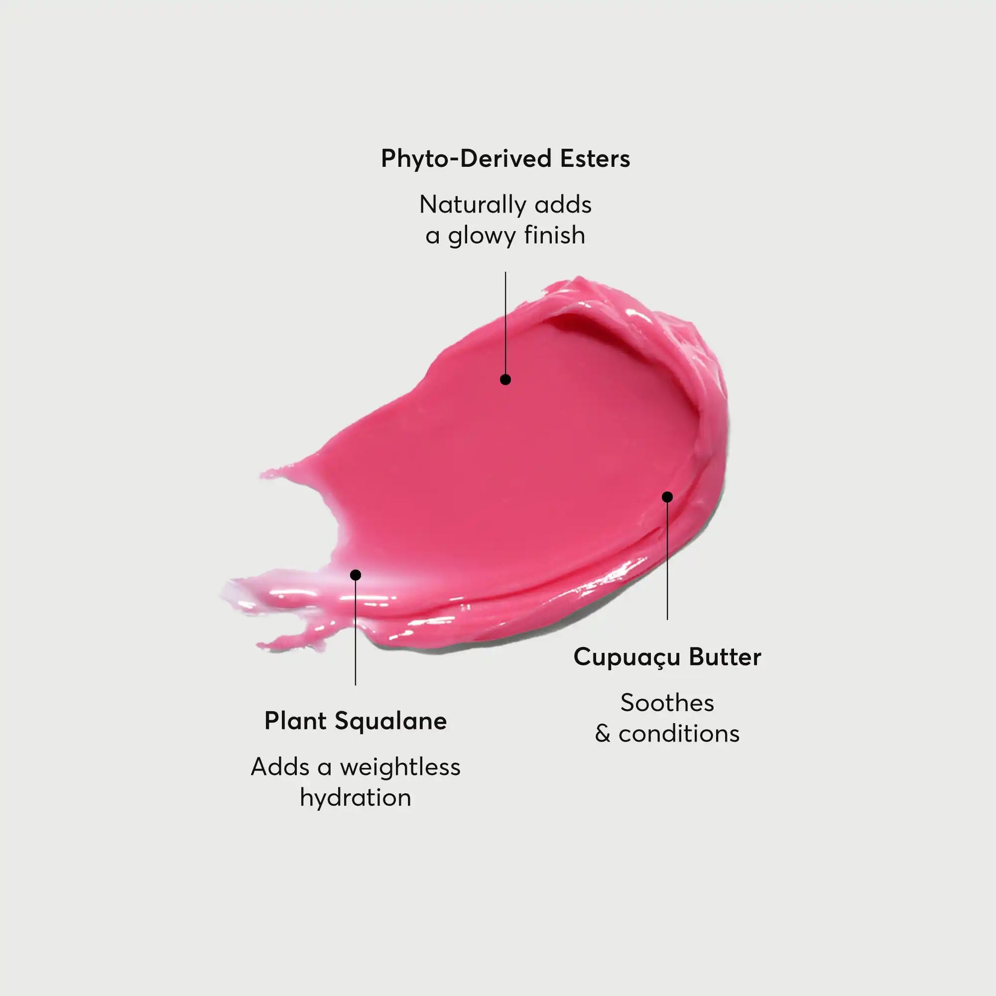 phyto-glow-lip-balm-camellia-s2 NATR-60075-Alt-Images-Phyto-Glow-Lip-Balm-Camellia-01.webp
